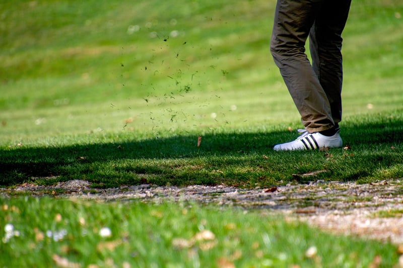 Skill Development Courses
